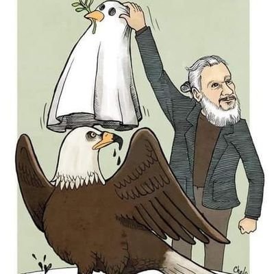 GioCappie's profile picture. ORA