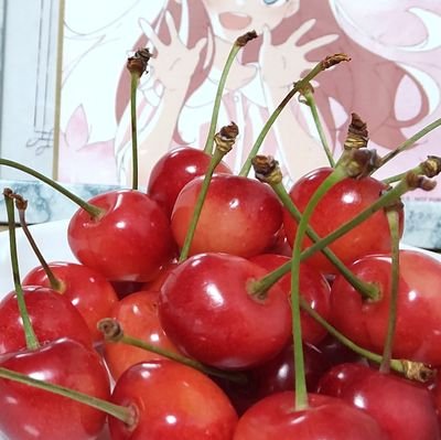 🍒🌸🌼錯乱某将軍はんこつ🌼🌸🍒さんのプロフィール画像