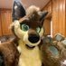 Archer Wolfe (@furry_in_a_jeep) Twitter profile photo Archer Wolfe (@furry_in_a_jeep) Twitter profile photo