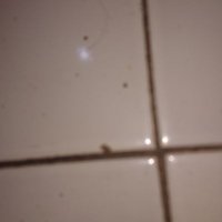 EL Buud (@akyas_el) 's Twitter Profile