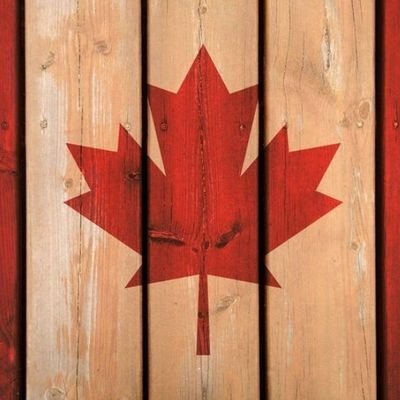 canuck_dee's profile picture. 