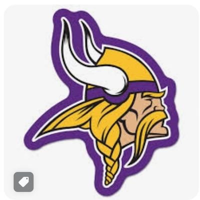 Minnesota Vikings and Elon Musk fan