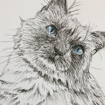 ひなねこ🌻リピ様のみ受付中さんのプロフィール画像