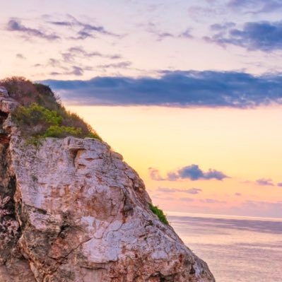 i2ik_'s profile picture. In the end , we'll all become stories !