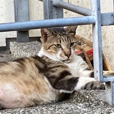 yinnnnnnn05's profile picture. 