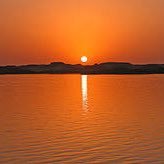 Gohash4's profile picture. 