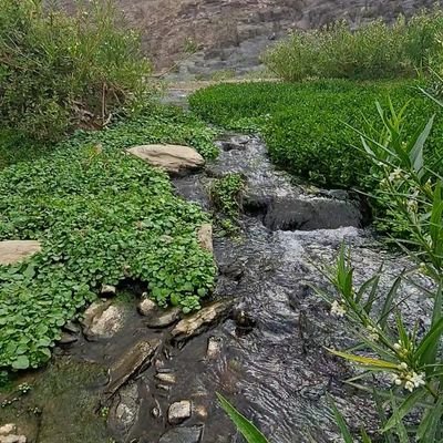 dms1407's profile picture. 