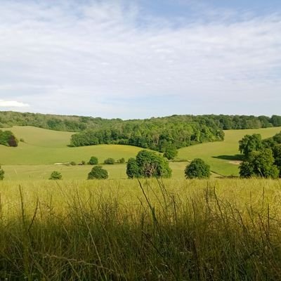 AnaA15774547's profile picture. #Marketing #uk #london #eventprofs