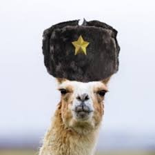 JcProAm's profile picture. Insert something interesting here.