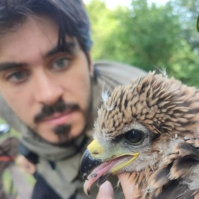 pHD (@UA_Universidad) 

Researcher at @FundacionMigres 

Ecology of raptors - Biological conservation - Zoology

🇪🇸🇬🇧