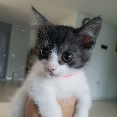 spacematrix5's profile picture. 