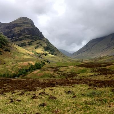 Tethered to the logic of Homo Sapien #scottishindependence 🏴🏴🏴 the only option
#Idetestwestminster
NO DM's