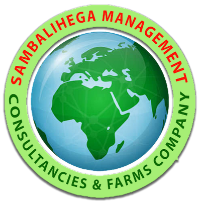 Business Management consultant and Services