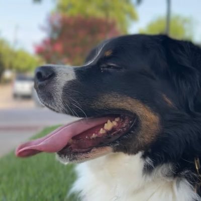 Dall95750875's profile picture. I love making people happy who deserve it. And letting ppl know when they’re wrong. https://t.co/PQtEWbjRVo https://t.co/GqmI73rDIt