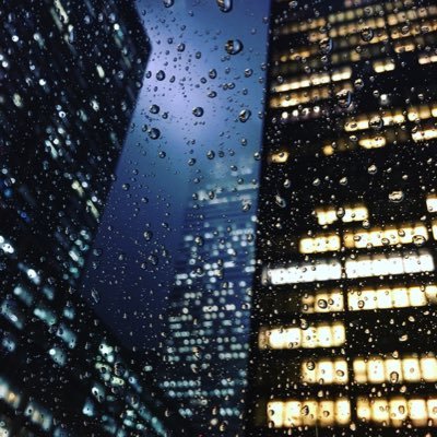 whatisacaprate's profile picture. 