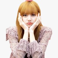 lisa (@bhaiskele) Twitter profile photo