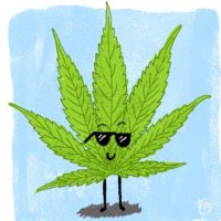 Stock_Leaf (@aandy486) 's Twitter Profile