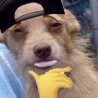 Stephen Zaski (@stephenzaski) 's Twitter Profile Photo