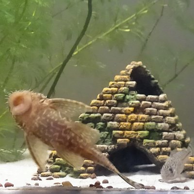 Nathali96819000's profile picture. 