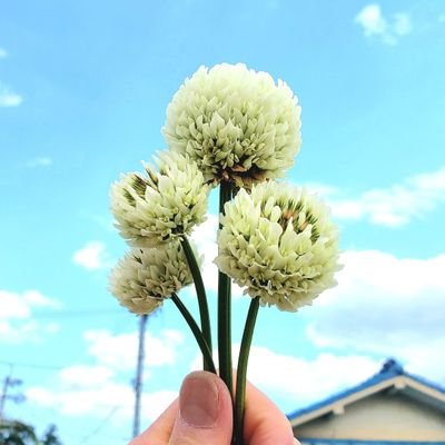 幼少期(小児がん)からのコロストミー(人工肛門)とウロストミー(人工膀胱)のダブルストーマ持ちの、50代のオストメイトです。オストメイト仲間や感性の合う方と交流出来たら嬉しいです❤️オストメイト関係や日常の事、空の写真をツイートしてます。
よろしくお願いします😊
#オストメイト
#ストーマ
#人工肛門
#人工膀胱
