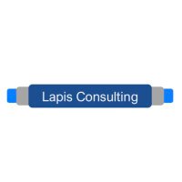 LapisConsultingServices(@LapisServices) 's Twitter Profile Photo