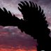 Free State High School (@freestate97) Twitter profile photo Free State High School (@freestate97) Twitter profile photo
