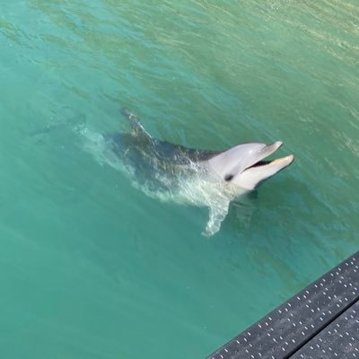 bKUt5M5Tu6j1WoE's profile picture. 細かいことはどうでも良い。資産さえ増えれば良い。