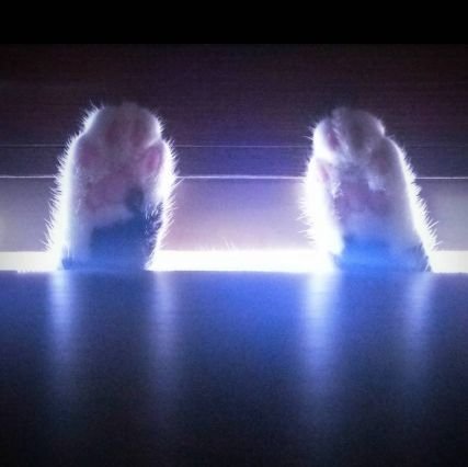 edehiga's profile picture. 食べ物と猫(=ﾟωﾟ=)に弱いネット人見知りなのであまり積極的に話しかけられません(/ω･＼)無言フォローすみません🙏ﾏﾝｶﾞ､ｱﾆﾒ､鉄興味有､MH好き✨