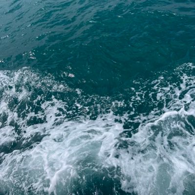 patpajeee's profile picture. ทำไมกูต้องหาเงินวะ  ทำไมเงินไม่มาหากูบ้าง