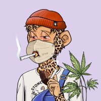 Rollie OG (@crypto_jtl) 's Twitter Profile