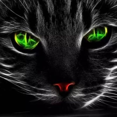 9LIVES_BLACKCAT's profile picture. 