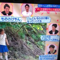 つーちゃん (@kinki_24451_j) Twitter profile photo