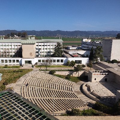 Ingeniero Forestal.
Doctor en Recursos Naturales y Gestión Sostenible.
Doctor en Ciencias Económicas, Empresariales y Sociales.
Uso la lógica de  SOSTENIBILIDAD