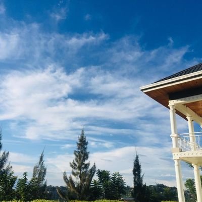 rogermug's profile picture. Hardware/Telecommunication Engineer