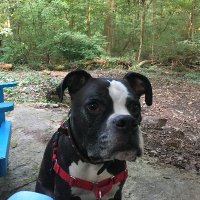 Cass Lewis (@writercass) 's Twitter Profile Photo Cass Lewis (@writercass) 's Twitter Profile Photo