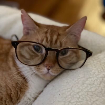 https://t.co/0d7tkpiITS | Senior Editor @law360 | Former Editor @PasteMagazine | I will force you to watch They Came Together