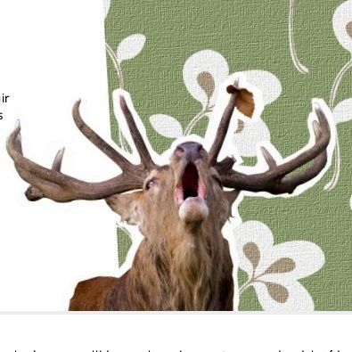 ElsMansos's profile picture. Els Mansos fem performances, teatre i ara radio surrealista a la web de Cat Ràdio/3Cat
https://t.co/osoKikD23D

elsmansos@yahoo.es