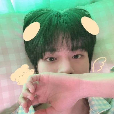 PUPPY DESKさんのプロフィール画像