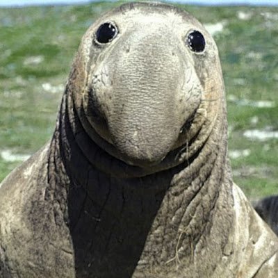 LotVoss's profile picture. No tengo nada bueno que decir