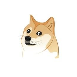 gauravk180295's profile picture. 