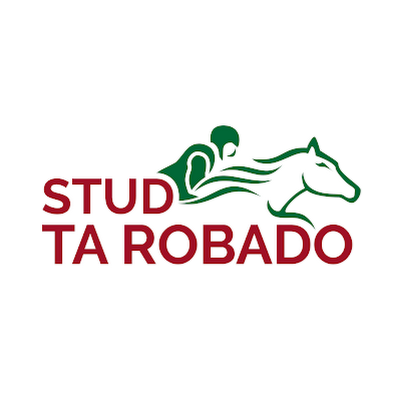 Somos el Stud Ta Robado ubicados en el Hipódromo Irineo Leguisamo, de la ciudad de Florida.  Un grupo de personas amantes de los caballos de carrera 🐎