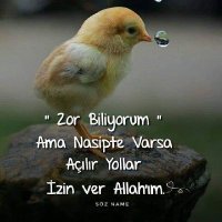 mert edirne (@g_a_n_e_s_5) 's Twitter Profile