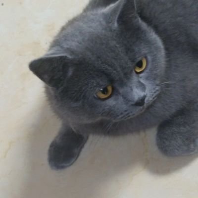 BLASH_Daiko's profile picture. Speculative trading