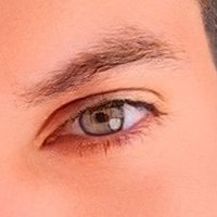 Fortal👀 (@sobservando0704) 's Twitter Profile Photo Fortal👀 (@sobservando0704) 's Twitter Profile Photo