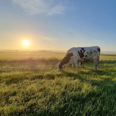 Trsterk4's profile picture. 