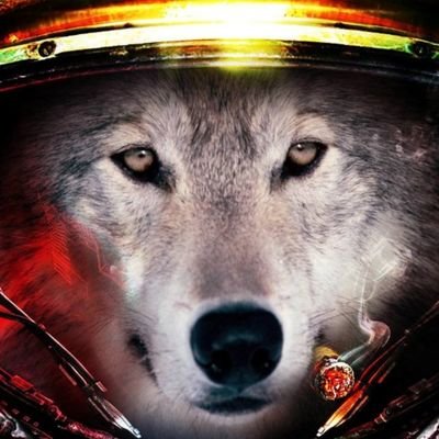 Swattish's profile picture. Ja joguei no competitivo de uns jogos por ai.