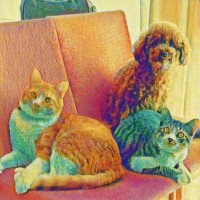 めぐ 犬猫垢 (@macachikushamo) Twitter profile photo