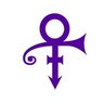 PLIVETHEBEST's profile picture. CELEBRATING #PRINCE ☝️ EVERYDAY 💜