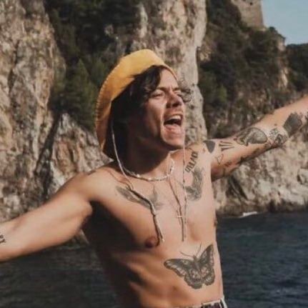 i tweet about harry styles, dylan o'brien, tarlos, rwrb, heartstopper and myself • she/her • 21+ • fan account • HISTORY, HUH
