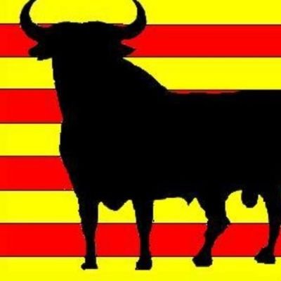 Por España más que nunca.
En las calles, plazas y avenidas.
Todo por España 🇪🇦 contra el gobierno de mentiras y traiciones.